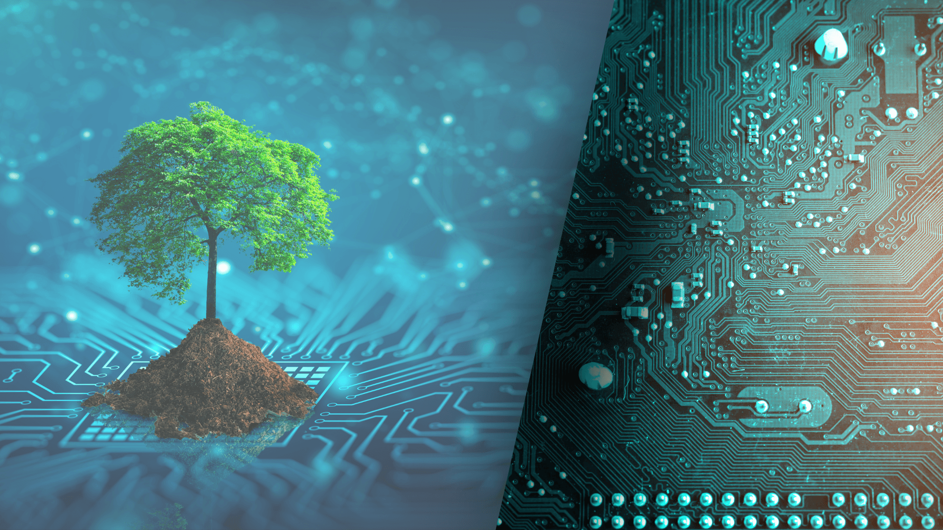 Hero image for desktop